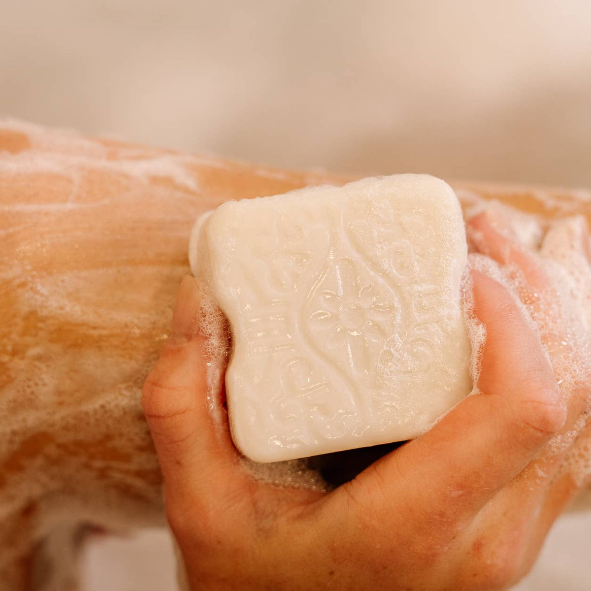 Personal Care & Grooming