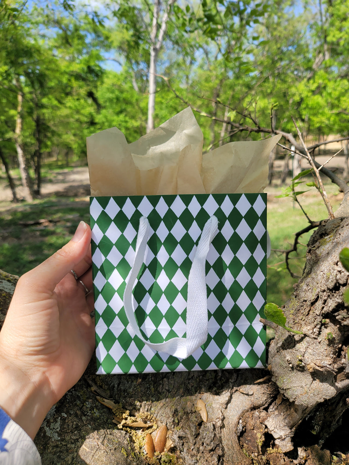 Sustainable Gift Bag (Base Price)